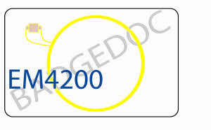 em4200 _20180821114410