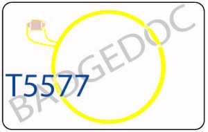 t5577_20180821114412